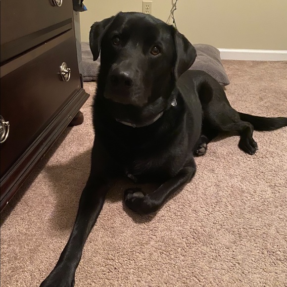 Meet Your Posher, Jackie - Picture 5 of 5